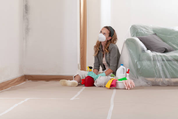 Reliable Mold Removal contractor in Manchester, MD by WQB Mold Removal
